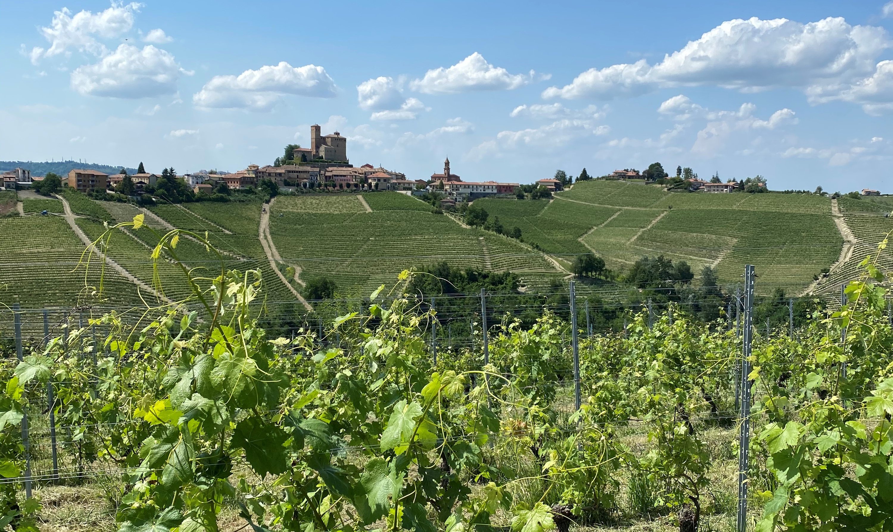 Barolo Piemont Rivetto